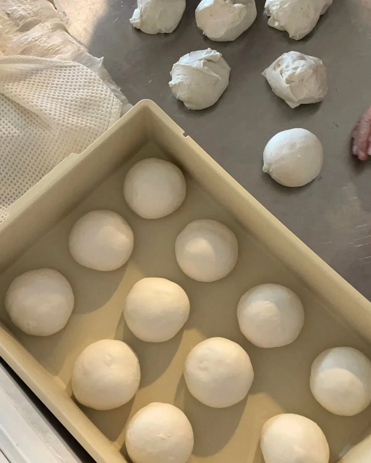 Fresh mozzarella torn and rolled by hand on the steel bench, the formed balls resting in a tray below and cheesecloth to one side