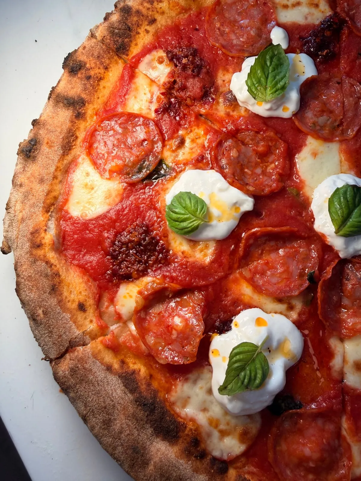 A pizza with spicy salami, tomato, mozzarella, stracciatella and basil on a blistered crust